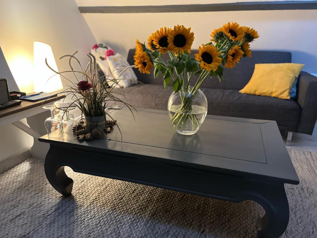 Maison 4 Personnes Tout Confort Alentours Boulogne Sur Mer Samer 外观 照片
